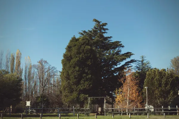 Reunión al aire libre con mesas dispuestas bajo los árboles
