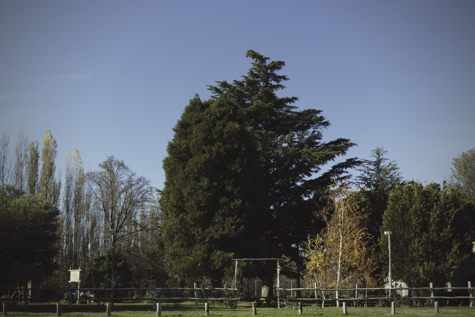 Reunión al aire libre con mesas bajo los árboles