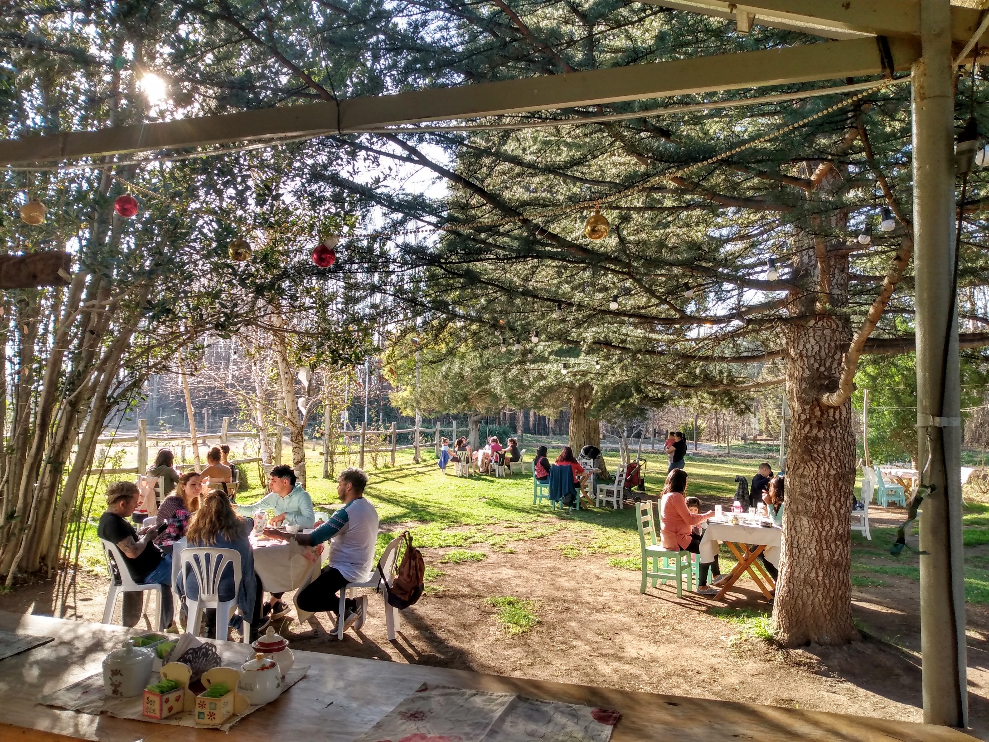 Vista del parque desde la barra en un dia soleado