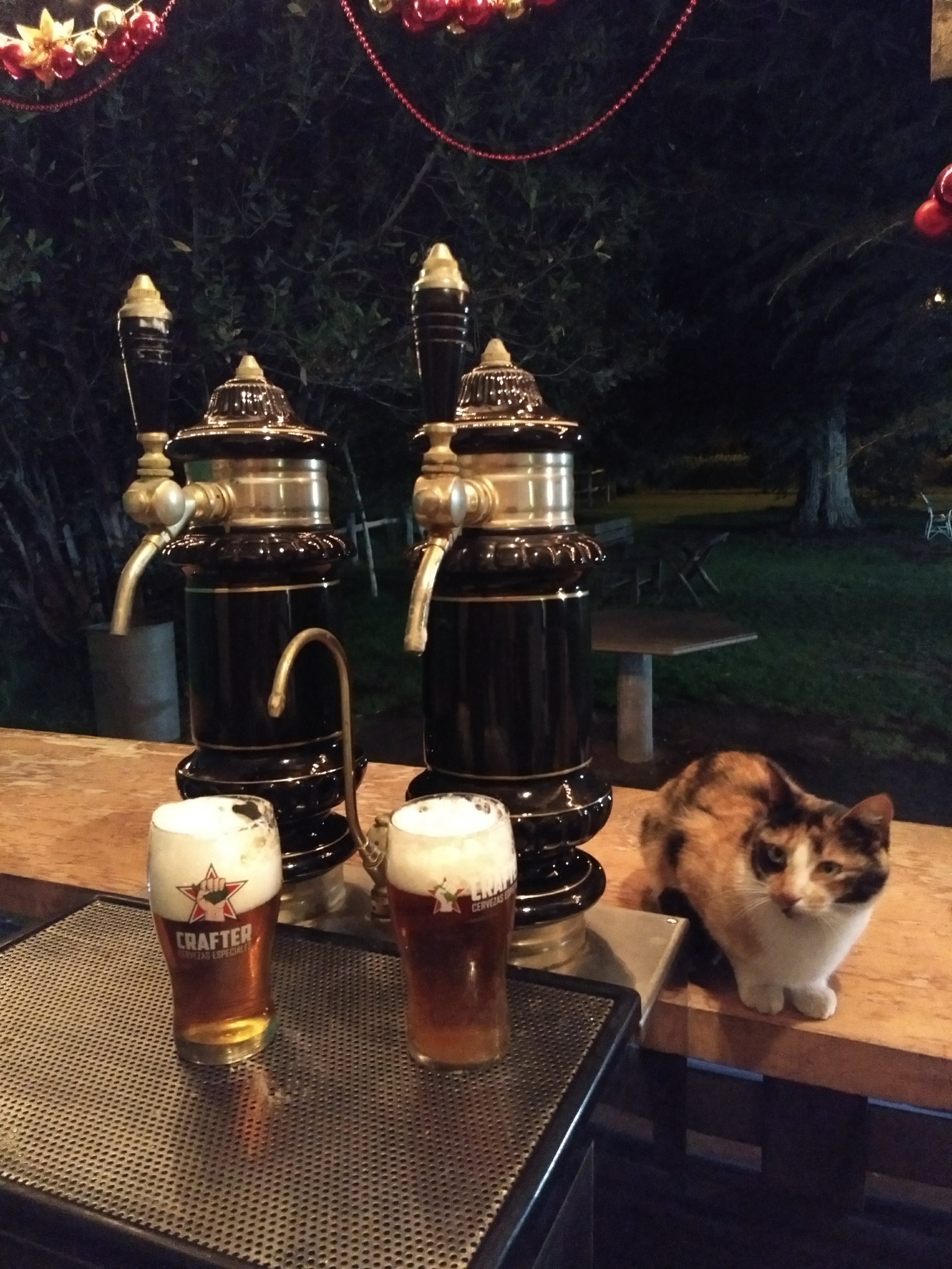 Chopera de cerveza artesanal en la barra