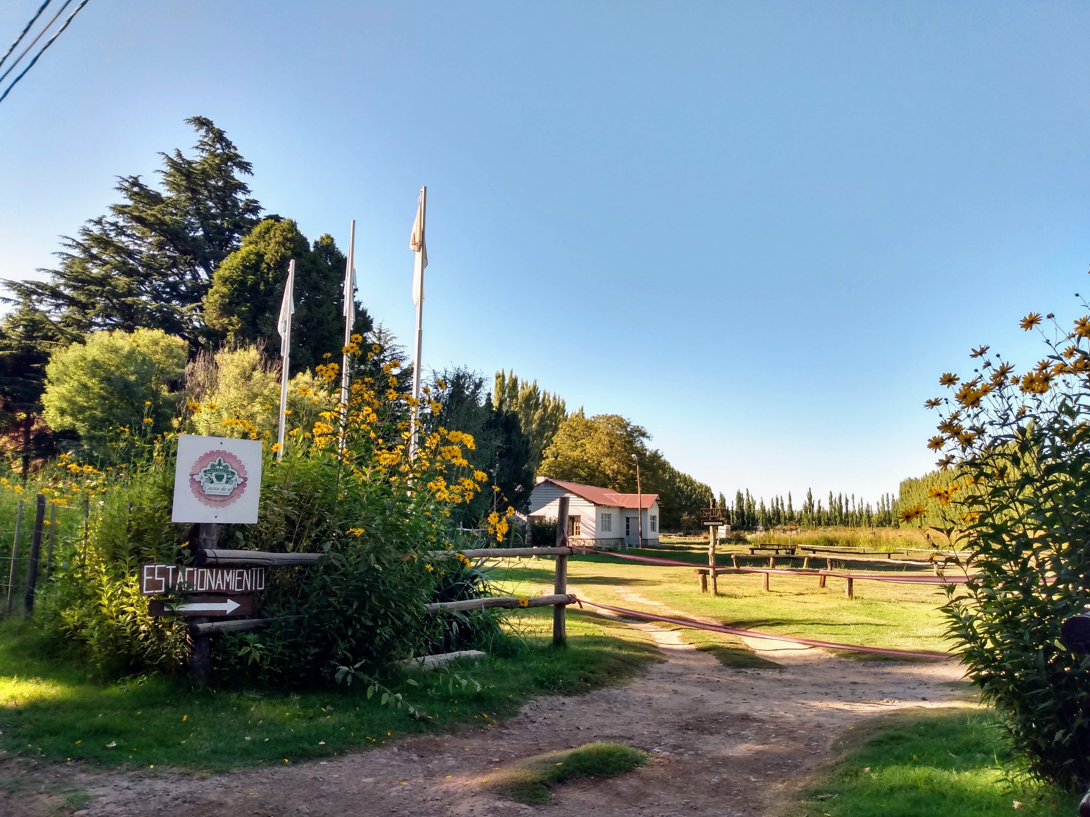 Camino de entrada entre olivos en Praderas Neuquinas