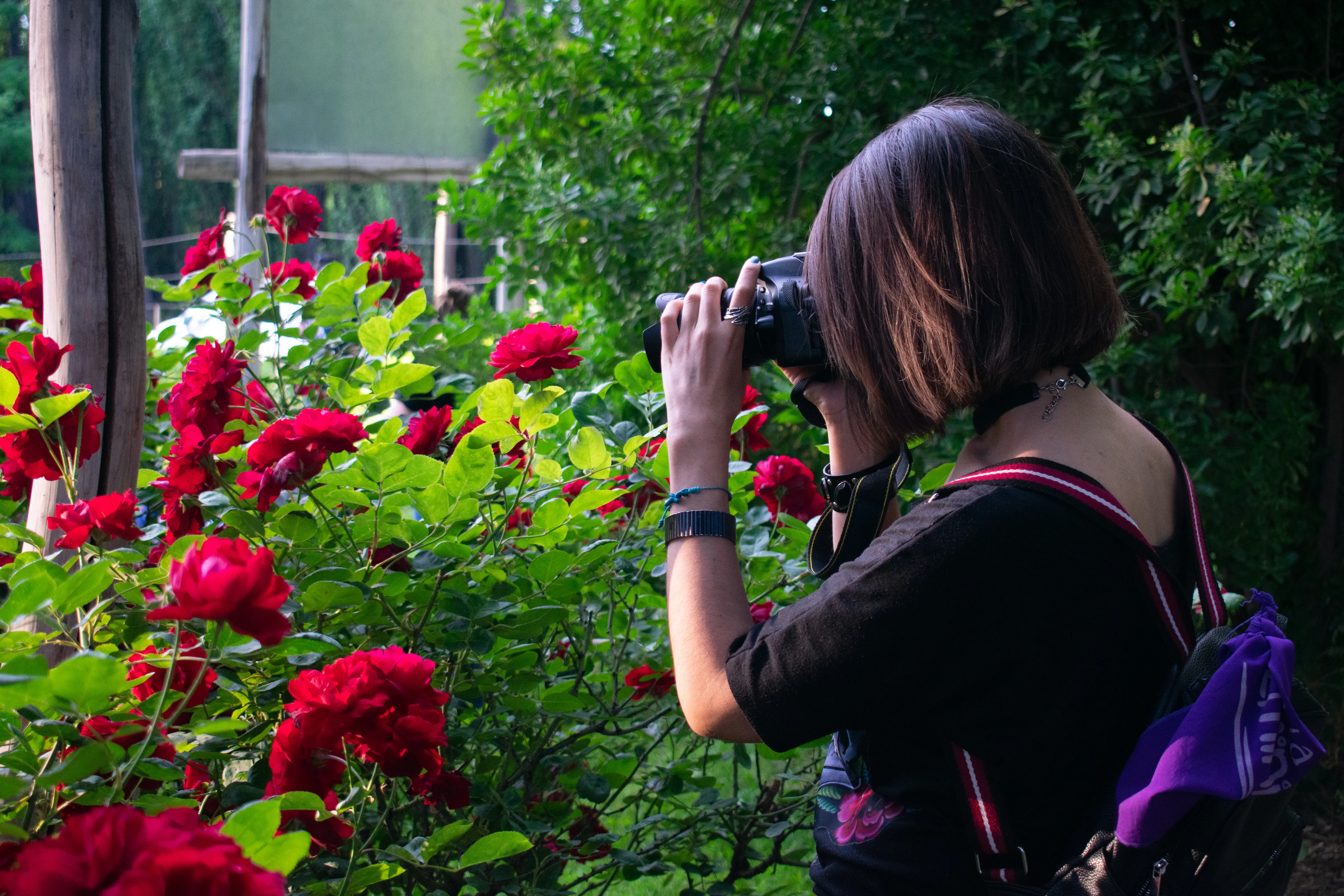 Fotógrafa profesional trabajando en el parque de Los Chalets