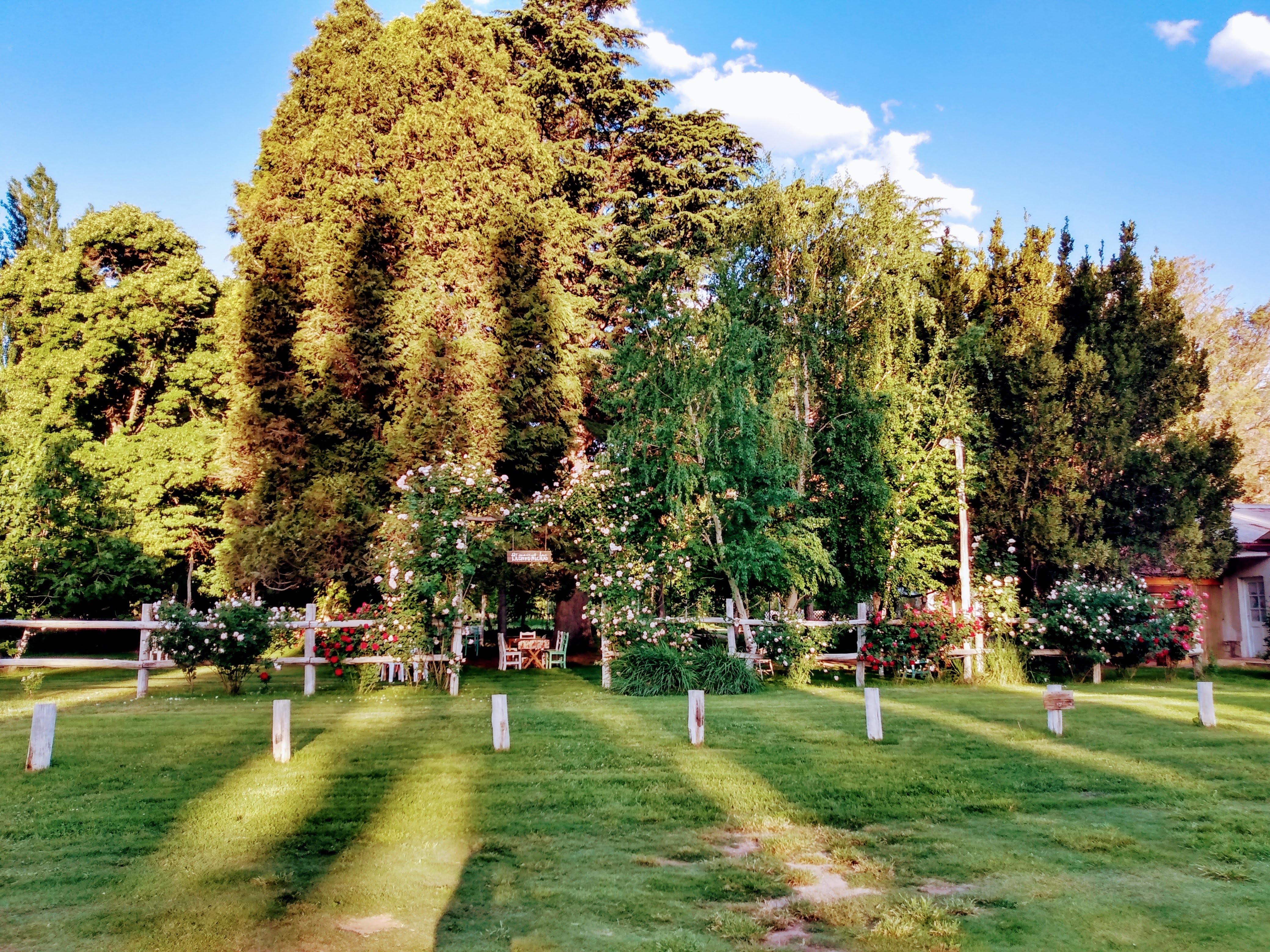 Entrada al parque con arco de bienvenida y vegetación