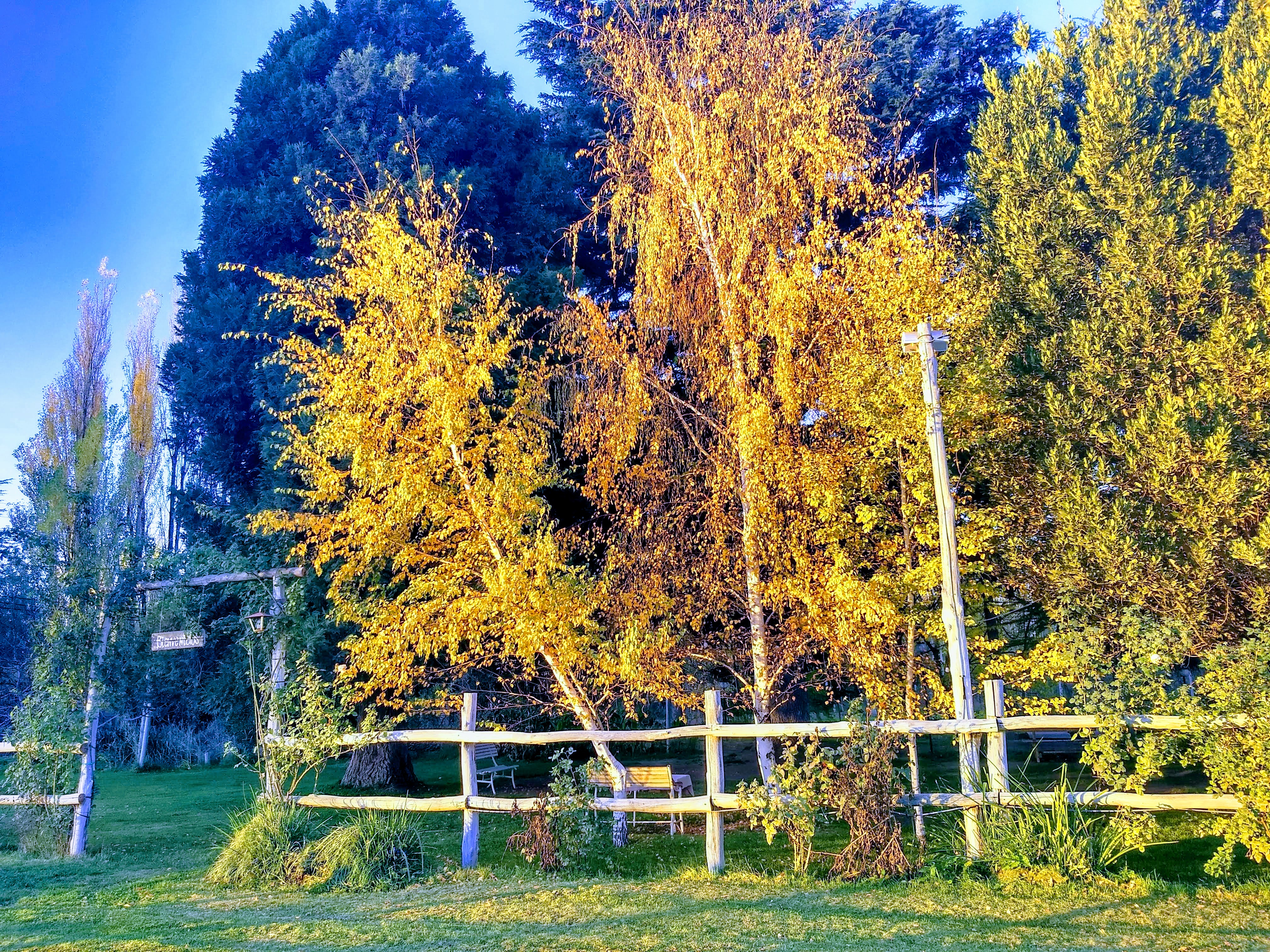 Otoño en la casa del te