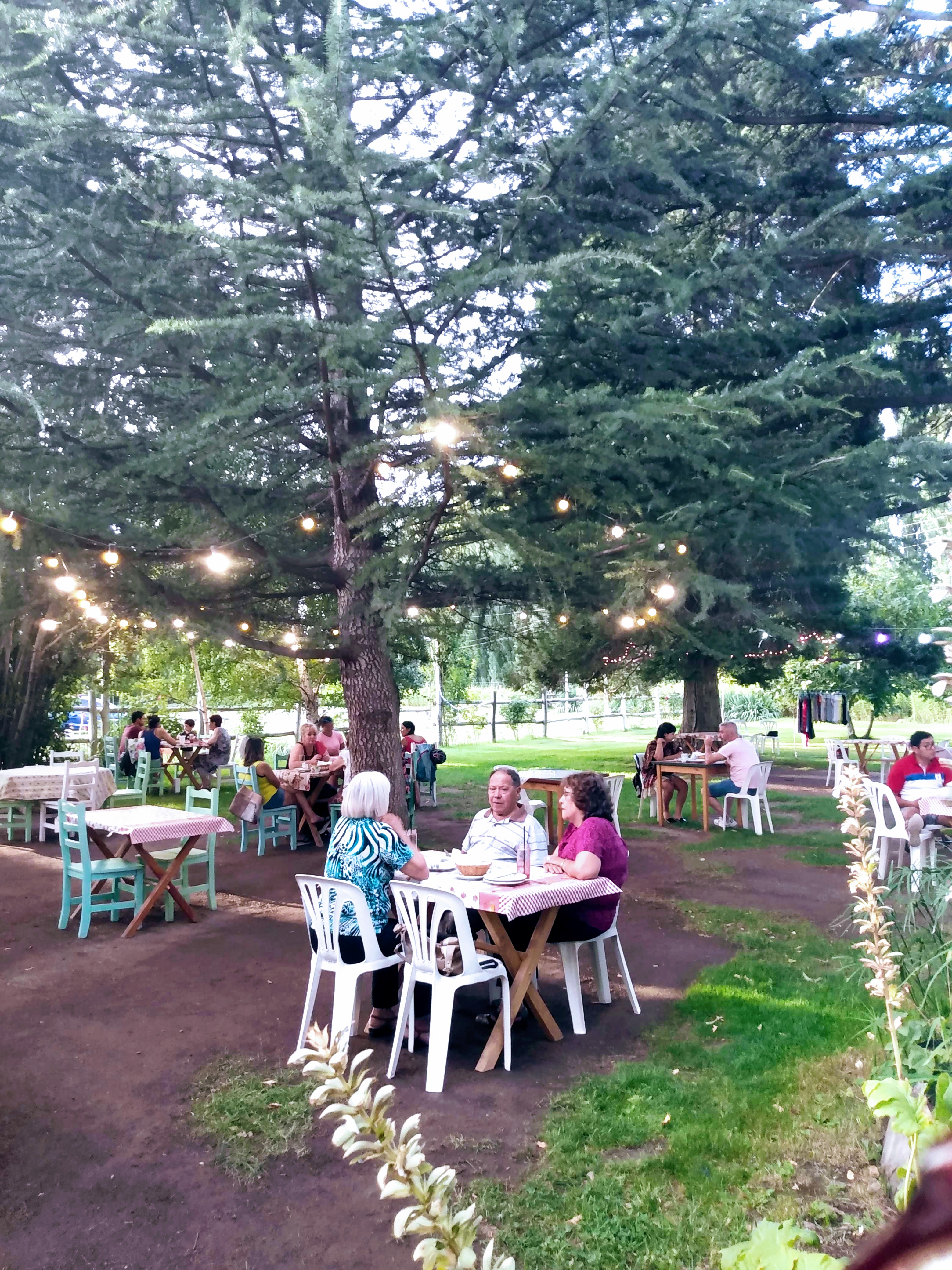 Parque de Los Chalets visto desde el frente con árboles y mesas